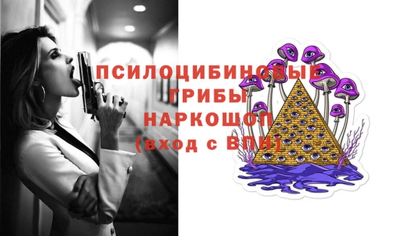 спайс Нягань